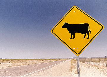 《双人成行》现已加入EA Play和Xbox Game Pass